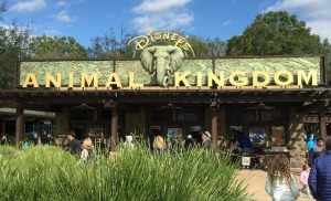 animal kingdom overview, facts for animals